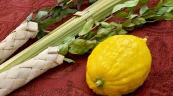 What is Sukkot?