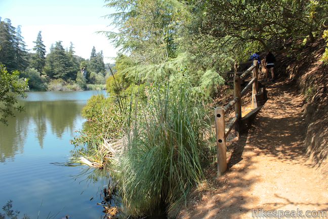 Franklin Canyon Park Lake Trail Loop IMG 2045 Take a Hike