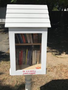 Library Little Free Library
