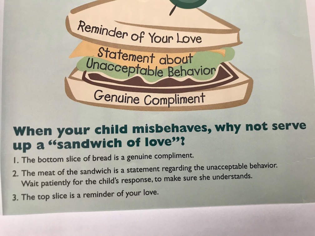 The Sandwich How to Manage Sibling Squabbles and Discipline During the Quarantine